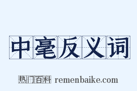 中毫反义词是什么意思的图片